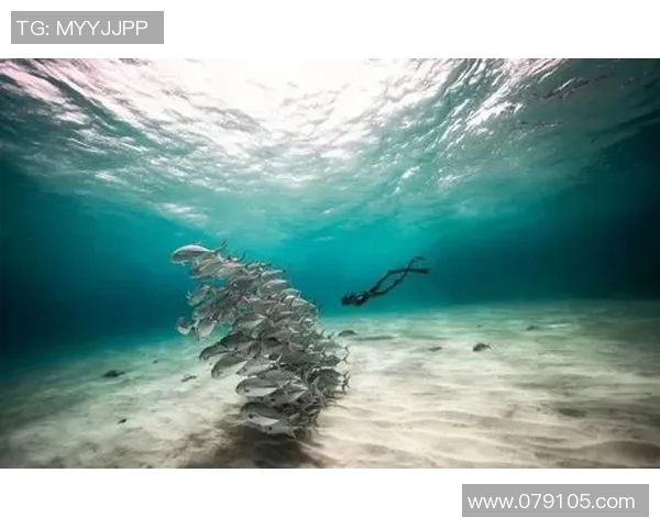 从零起步到极限挑战：全面掌握极限运动灵活性技巧与训练方法